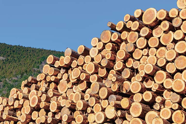 地域の木材産業と連携